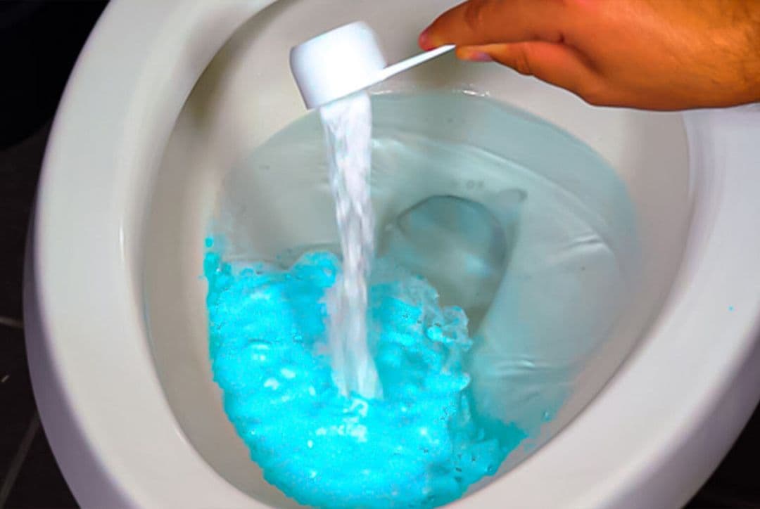 Barks No More CTC Review